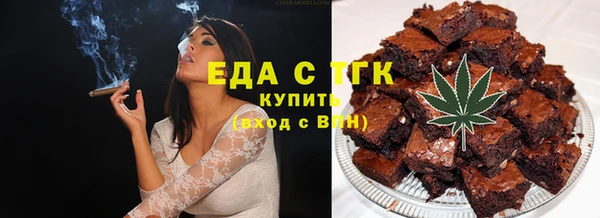 СК Ельня