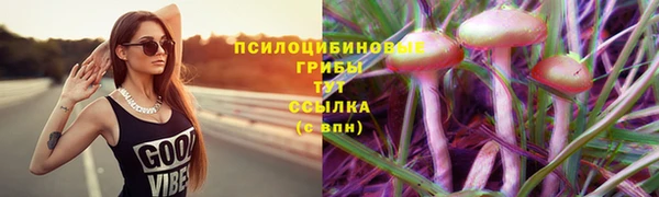 кокс Дмитриев