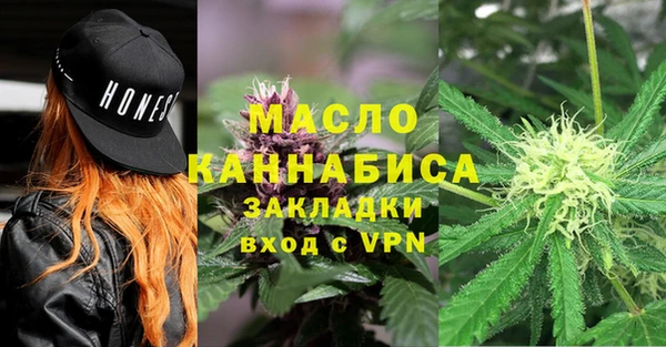 СК Ельня