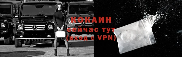 СК Ельня