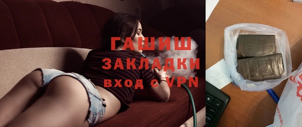 СК Ельня