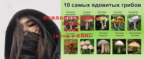 MESCALINE Дмитров