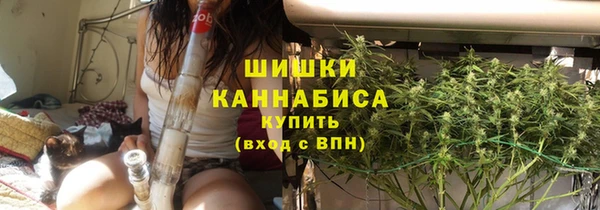 СК Ельня