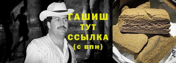 СК Ельня