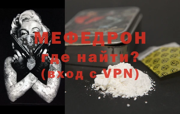 СК Ельня
