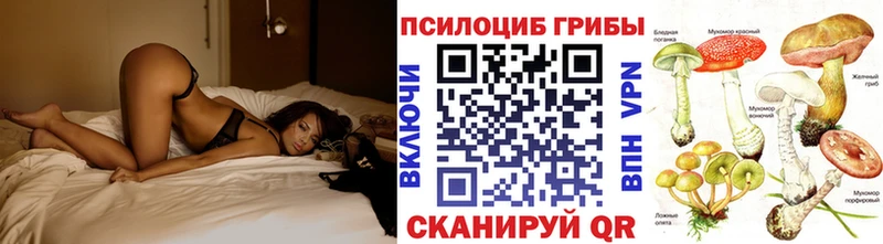 блэк спрут зеркало где продают наркотики Ковров Галлюциногенные грибы мухоморы